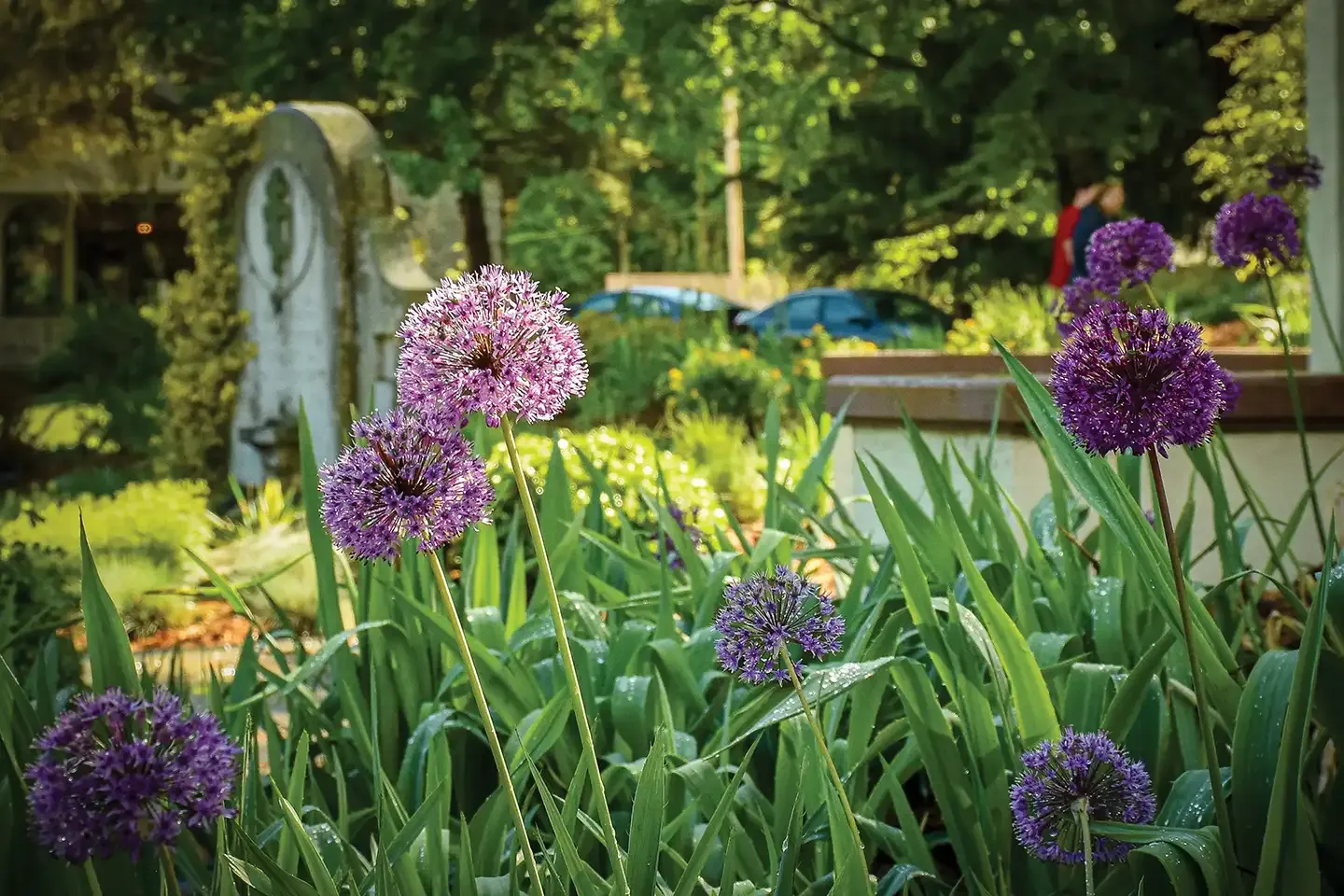 St. Tikhon's Seminary Give SmartGiving Tools flowers and plants in garden.